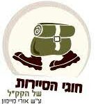 סיירות